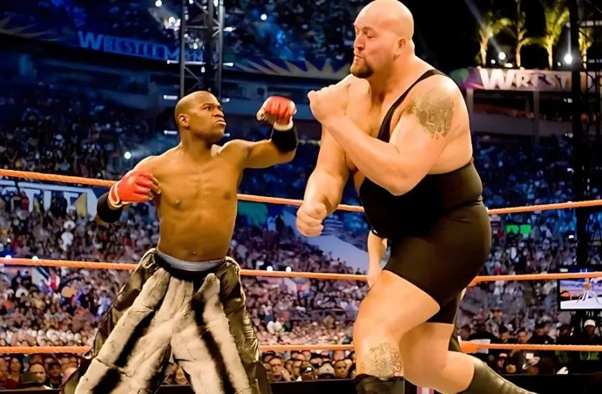 Floyd Mayweather Wrestlemania
