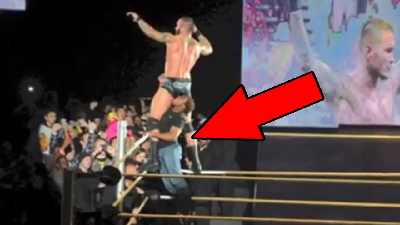 11 Fans Who Are Banned From WWE Forever 1 orton fan