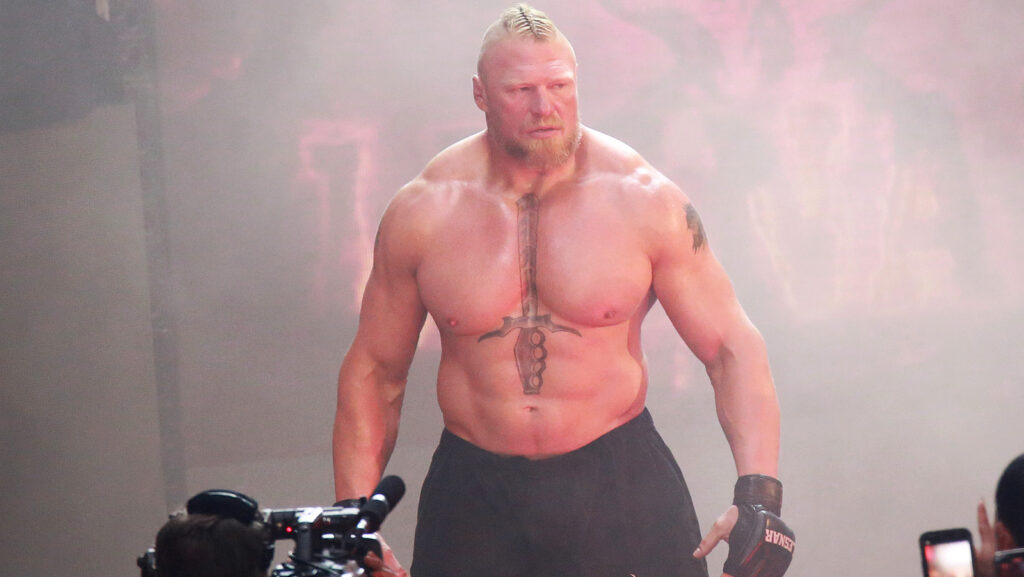 The Business of WWE: Why Certain Matches Always Make Money 4 Brock Lesnar