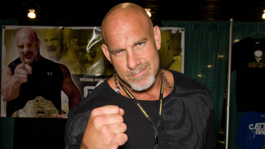 Top 10 Most Expensive WWE Gimmicks (And Were They Worth It?) 5 Goldberg’s Undefeated Streak